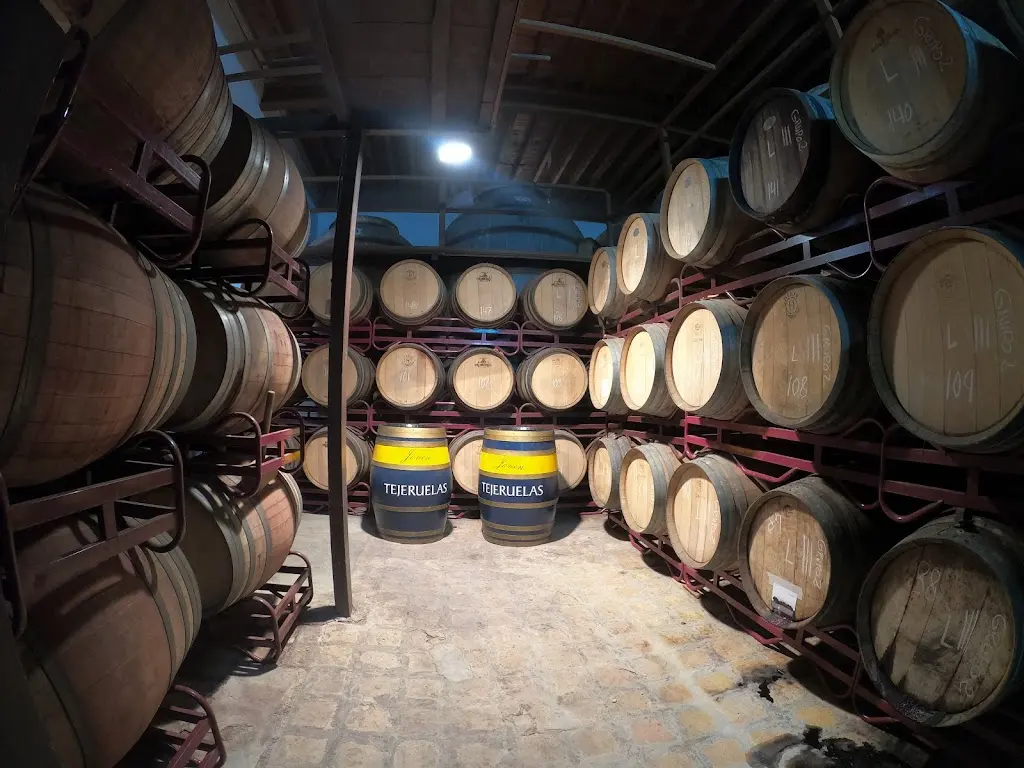Tejeruelas. Bodega de Vinos en Valdepenas. Mercantil Marin Perona