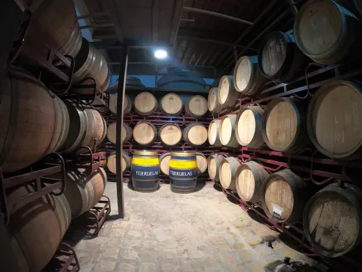 Tejeruelas. Bodega de Vinos en Valdepenas. Mercantil Marin Perona