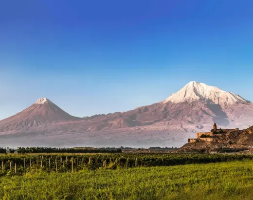 Limpiezas Ararat