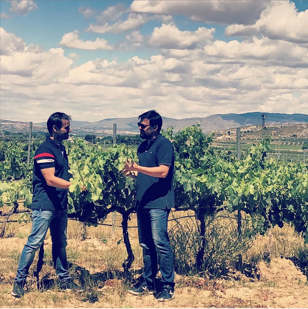 Despensa Mediterranea - El Mercado Online del pequeno productor. Sin intermediarios y a un precio justo para ambos.
