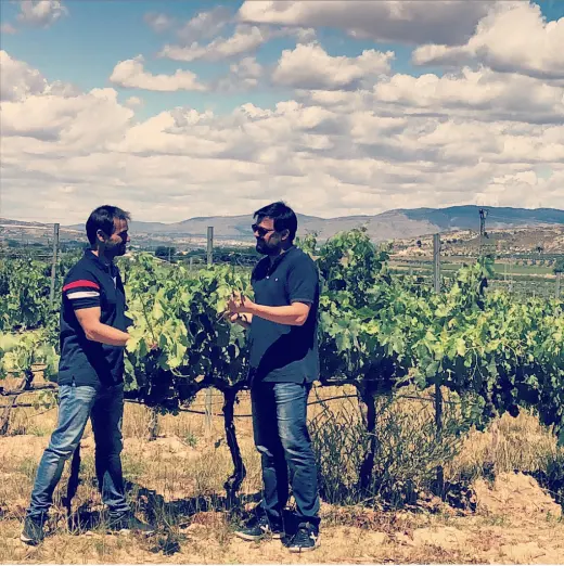 Despensa Mediterranea - El Mercado Online del pequeno productor. Sin intermediarios y a un precio justo para ambos.