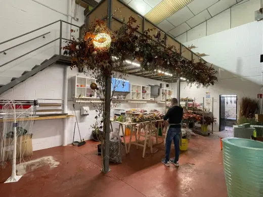 Tus Ramos de Rosas - Floristeria Online en Sevilla