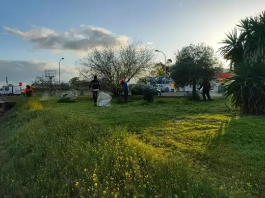 Jardineria El Amanecer