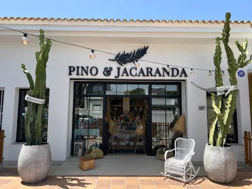 Pino & Jacaranda
