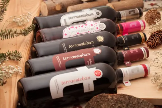 BODEGAS Y VINEDOS ACENA (TERRAESTEBAN)