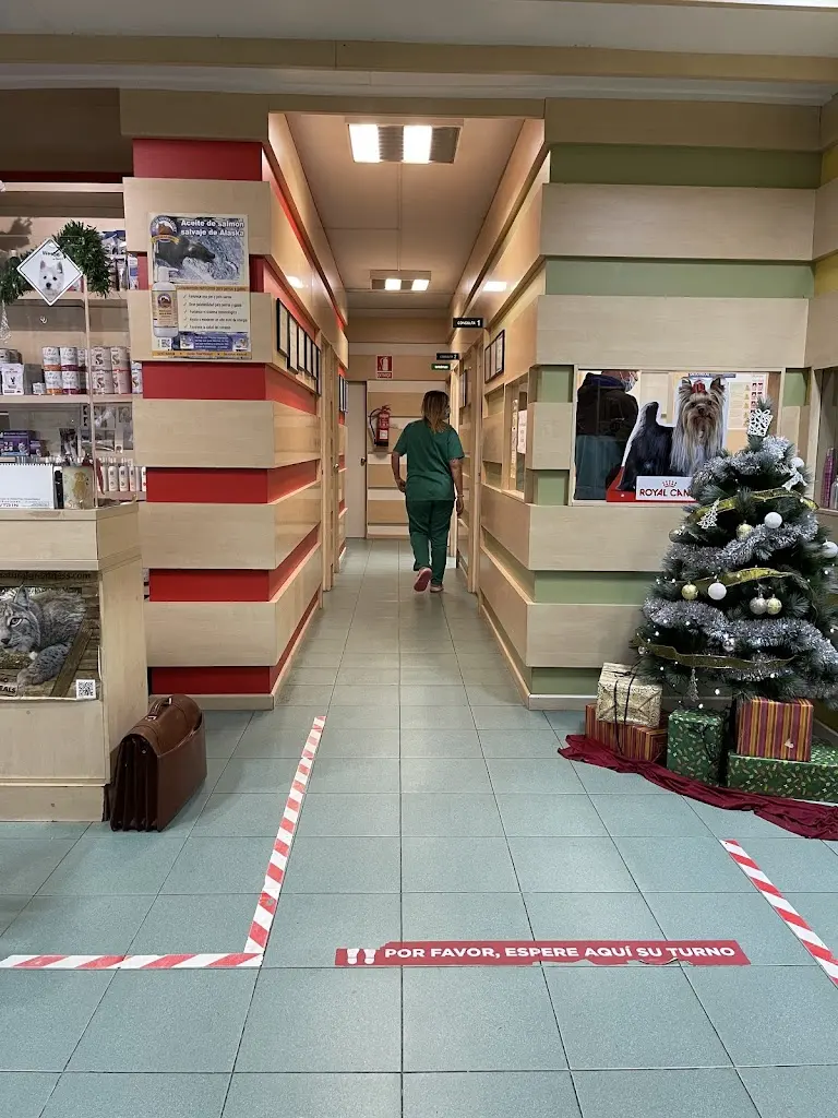 Clinica Veterinaria Real SL