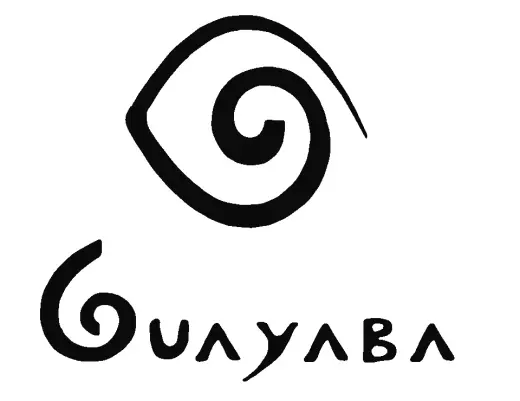 Camisas Guayaba