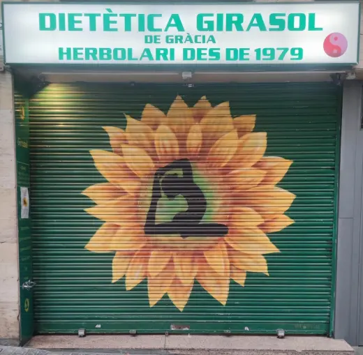 Girasol de Gracia