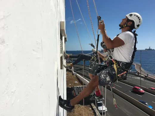 Pintores en las Palmas Jomapa