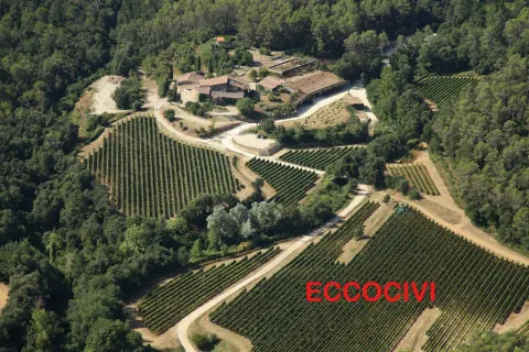Eccociwine
